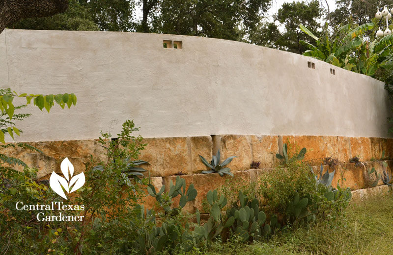 back of courtyard cinder block and stucco wall Central Texas Gardener