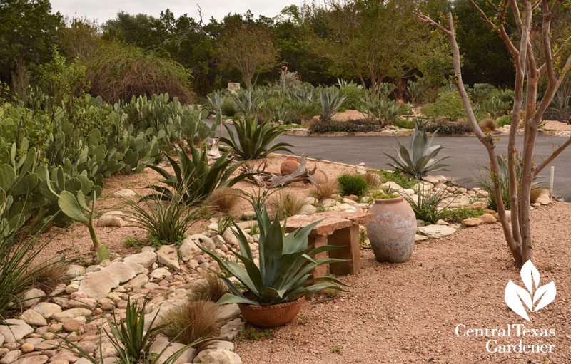 dry creek bed floodwater control Central Texas Gardener