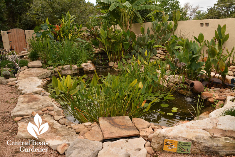 natural bog filtered limestone pond Central Texas Gardener