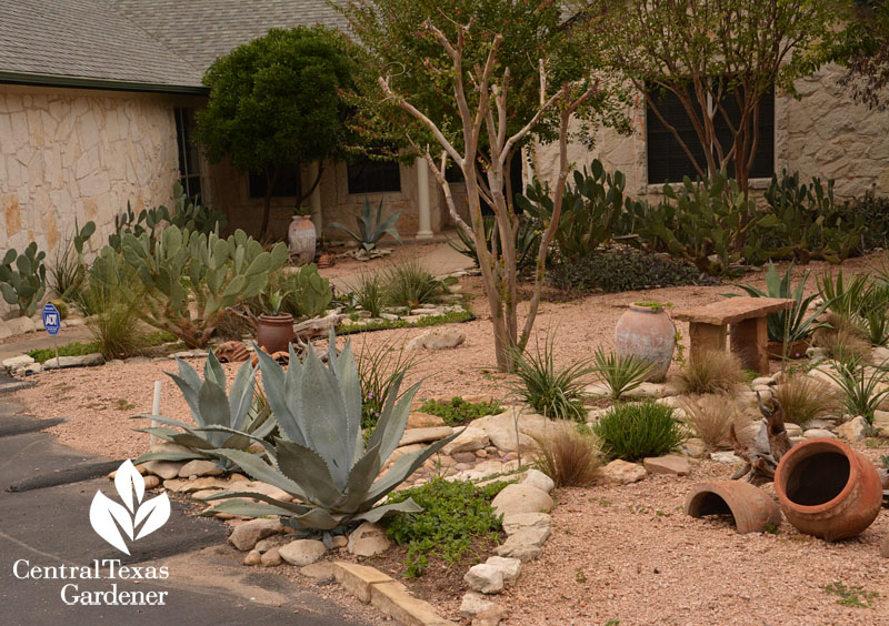 no lawn front yard floodwater control Central Texas Gardener