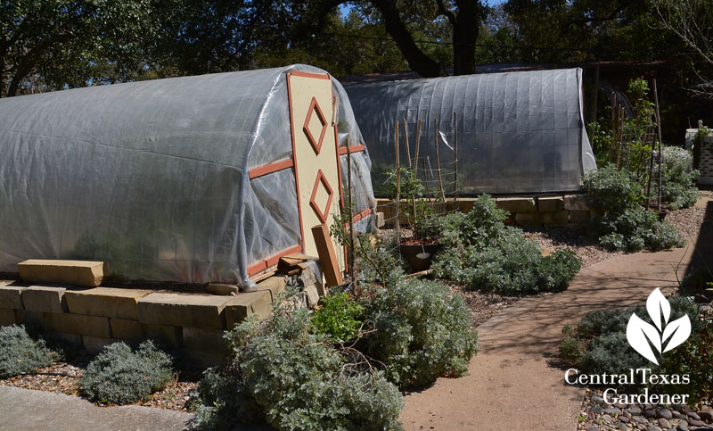 quonset hut vegetable gardens limestone surround Central Texas Gardener