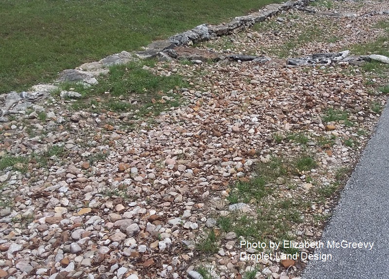 weed infested rock garden McGreevy design Central Texas Gardener