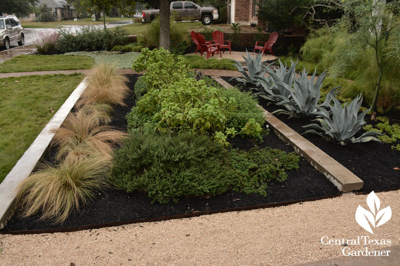 front yard food, rainwater control, habitat Central Texas Gardener