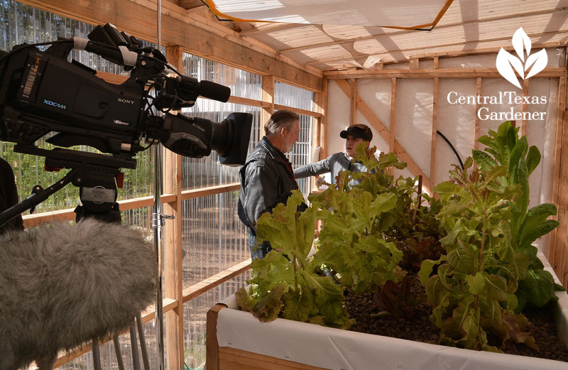 Crockett aquaponics greenhouse Central Texas Gardener