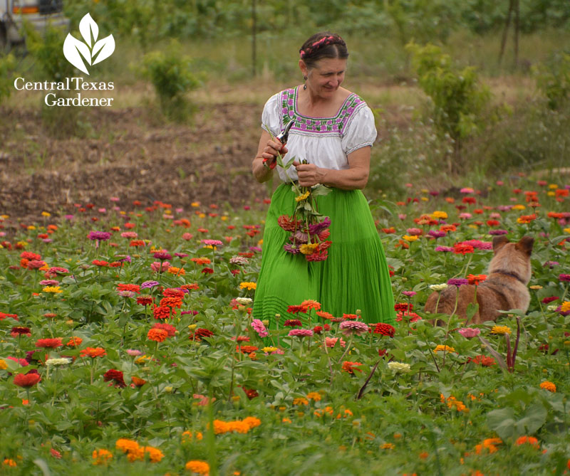 Pamela Arnosky Arnosky Family Farms Central Texas Gardener