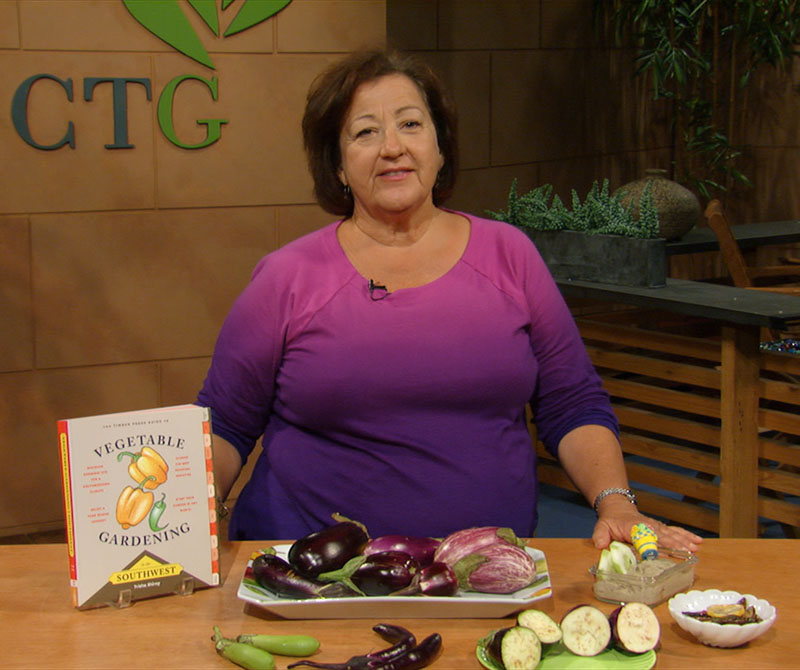 Trisha Shirey eggplant recipes