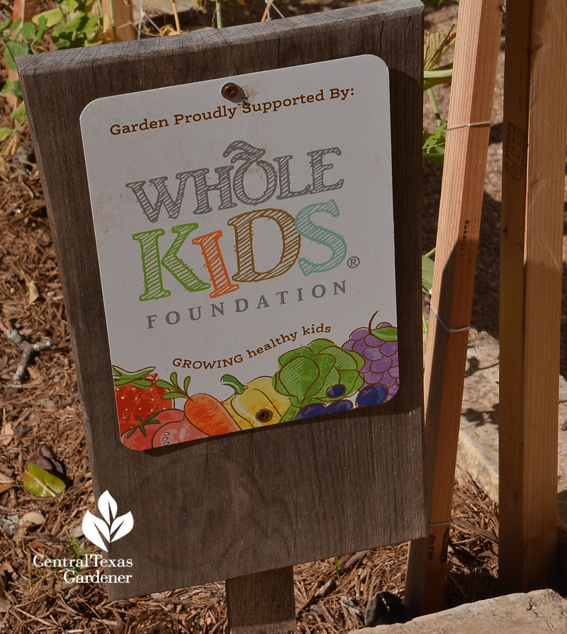 Whole Kids Foundation Crocket HS garden grant Central Texas Gardener