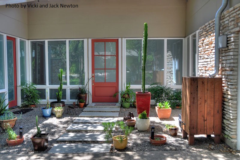 container euphorbia front door garden Central Texas Gardener