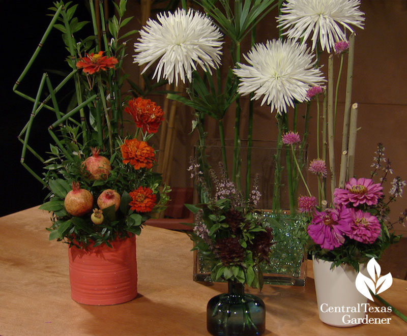 equisetum, umbrella plant, garden sticks homemade flower arrangements Central Texas Gardener