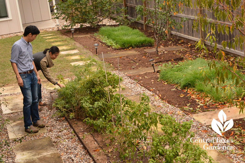 first vegetable garden Monica and Greg Tran Central Texas Gardener