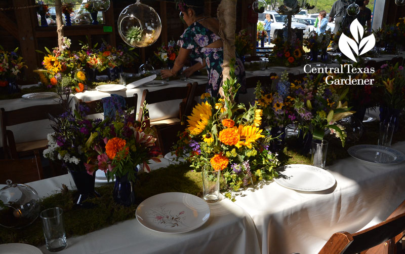 local flowers Field to Vase dinner tour Arnosky Family Farms Central Texas Gardener