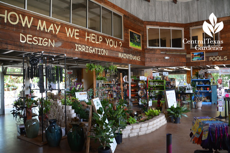 Countryside Nursery Austin Texas Central Texas Gardener