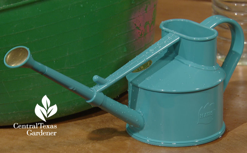 HAWS watering can for small containers Central Texas Gardener