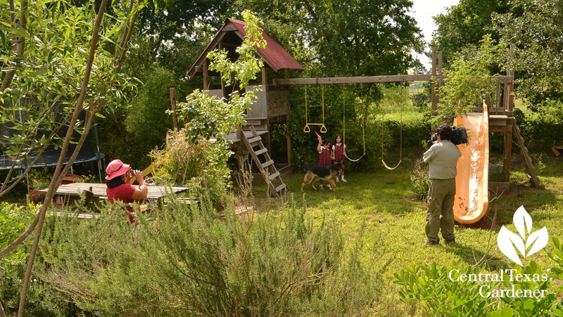 backyard fun Central Texas Gardener