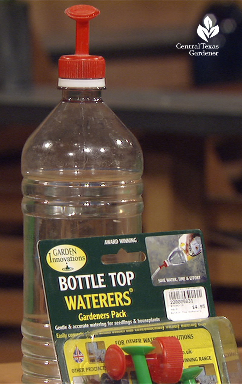 bottle top waterers Central Texas Gardener