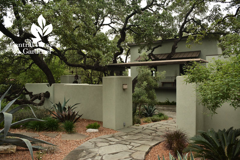 contemporary courtyard entrance drought no lawn Central Texas Gardener