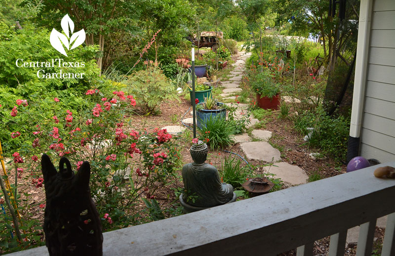 No lawn food and pollinator garden Rasmey Mau Raymond Central Texas Gardener