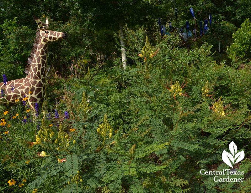 garden art pollinator plants cottage garden Central Texas Gardener