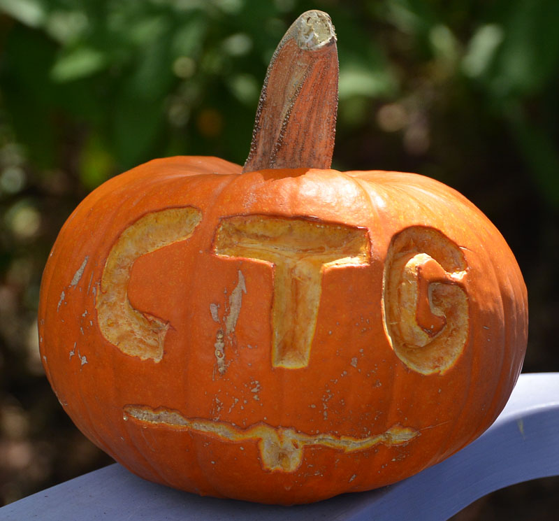 halloween pumpkin Central Texas Gardener