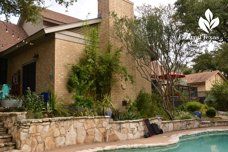 raised limestone bed Texas persimmon plant diversity Central Texas Gardener