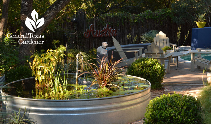 stock tank pond Central Texas Gardener