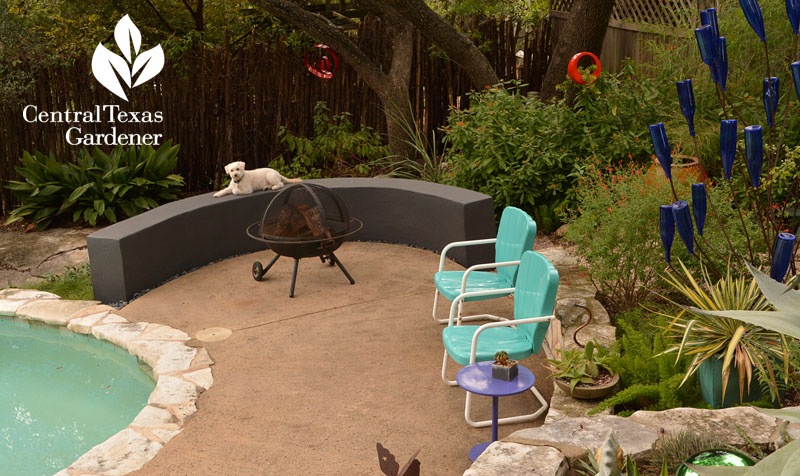 stucco patio surrounds Pam Penick Central Texas Gardener
