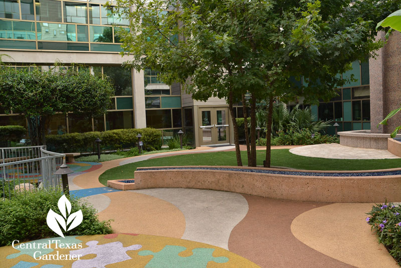 atrium gardens and colorful paths Dell Children's Central Texas Gardener