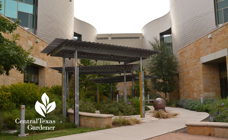 healing garden Dell Children's Central Texas Gardener