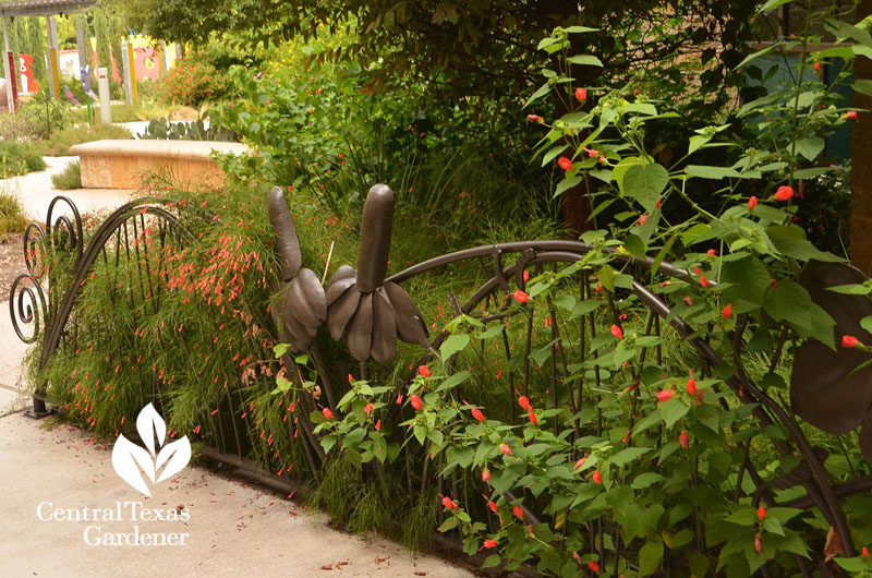 bed frame style railing native plants Dell Children's Medical Center Central Texas Gardener