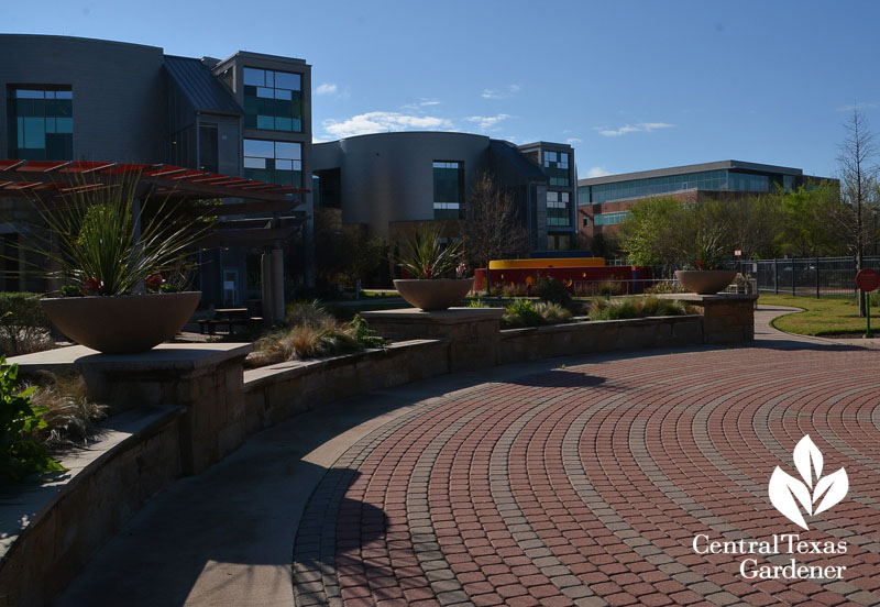 labyrinth and gardens Dell Children's Medical Center Central Texas Gardener