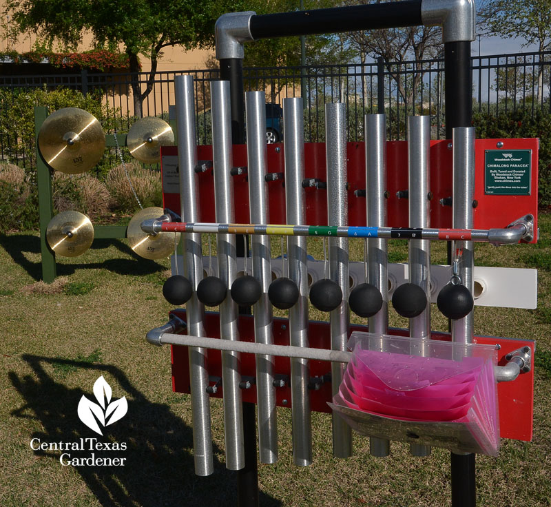 musical instruments for kids Dell Children's Central Texas Gardener