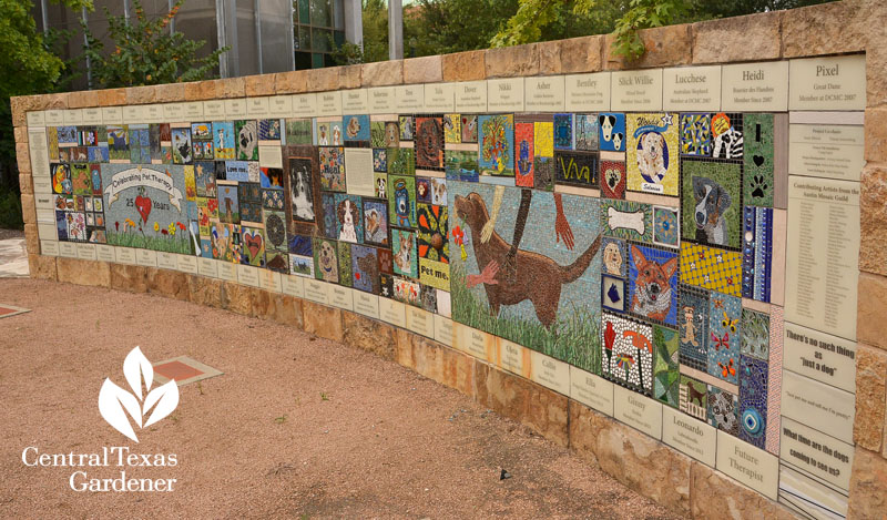 pet therapy mosaic wall Dell Children's Central Texas Gardener