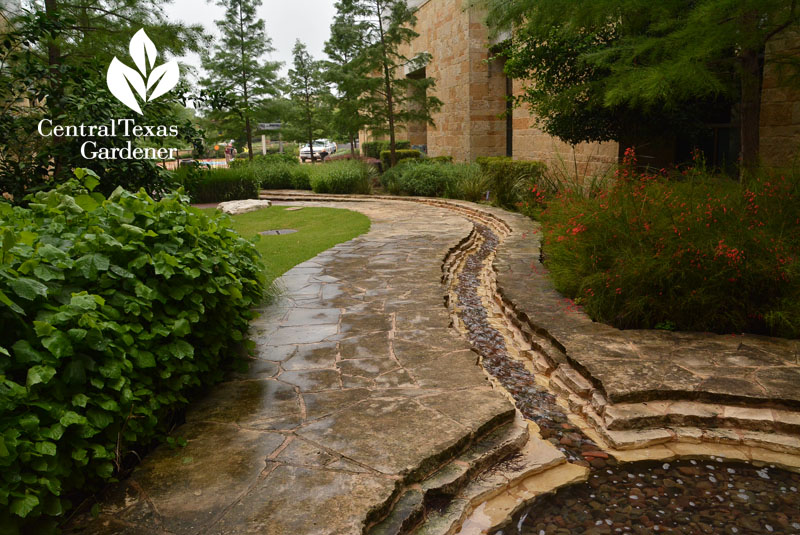 soothing water rill meditative garden Dell Children's Central Texas Gardener