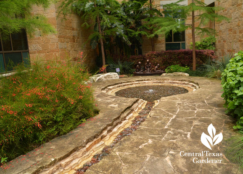 water rill meditation cove Dell Children's Central Texas Gardener