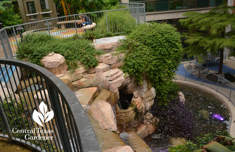 waterfall inside atrium Dell Children's Central Texas Gardener