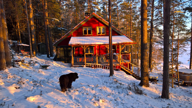 Finland snow Central Texas Gardener