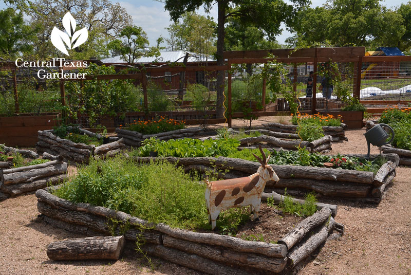 First Community Mobile Loaves and Fishes vegetable garden Central Texas Gardener