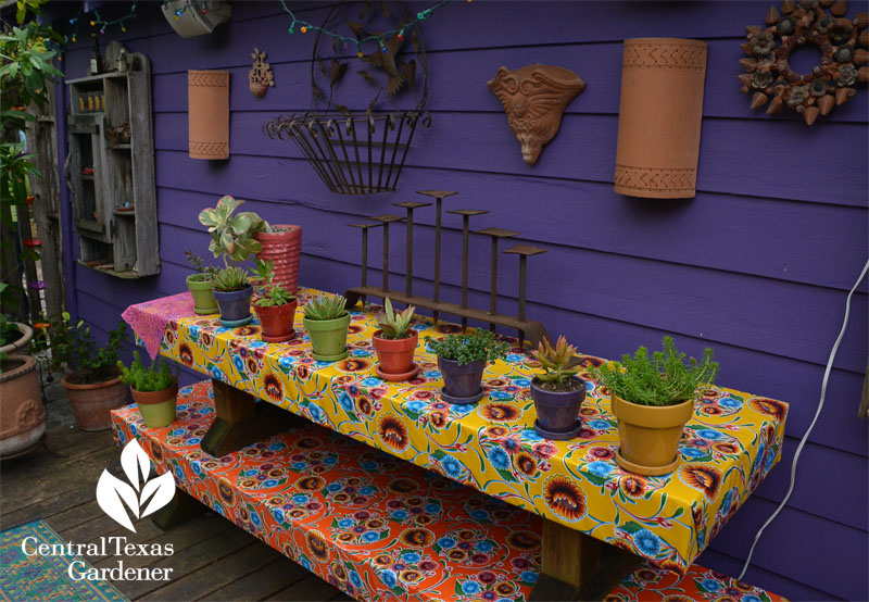 Lucinda Hutson's cute succulent containers garden art Central Texas Gardener