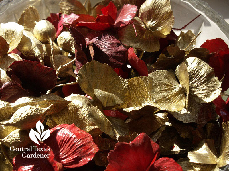 mountain laurel and butterfly vine seed pods painted for Christmas ornaments Central Texas Gardener