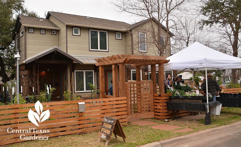 front yard vegetable garden and farmstand CTG