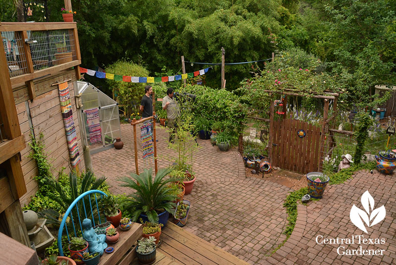 patio to vegetable herb garden Central Texas Gardener