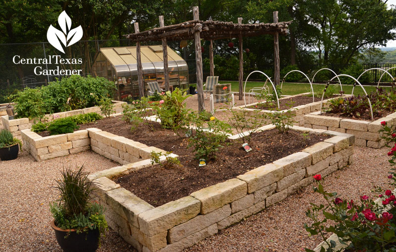 raised limestone beds ramada patio garden Central Texas Gardener