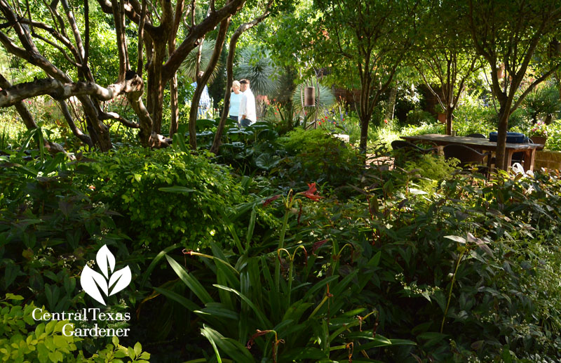 romantic shady garden design Central Texas Gardener