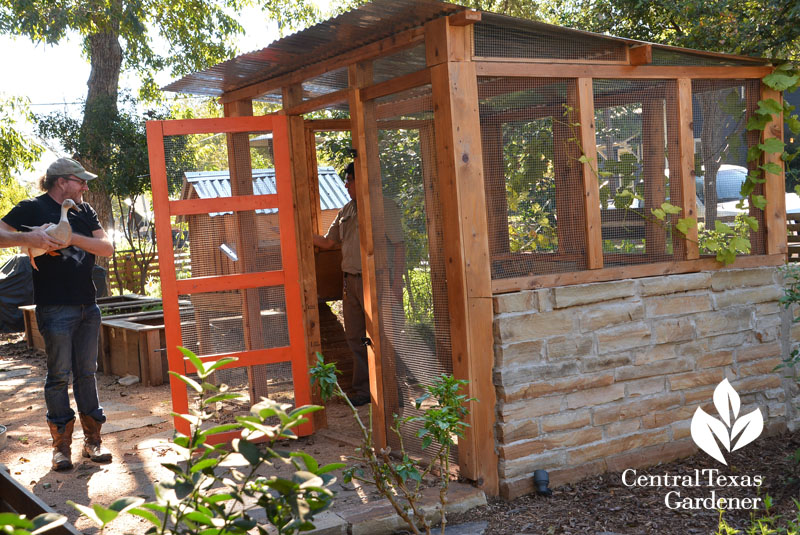 safe house for garden ducks Central Texas Gardener