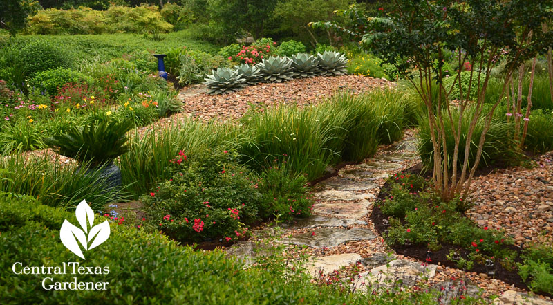 Butterfly iris define rocky paths Central Texas Gardener