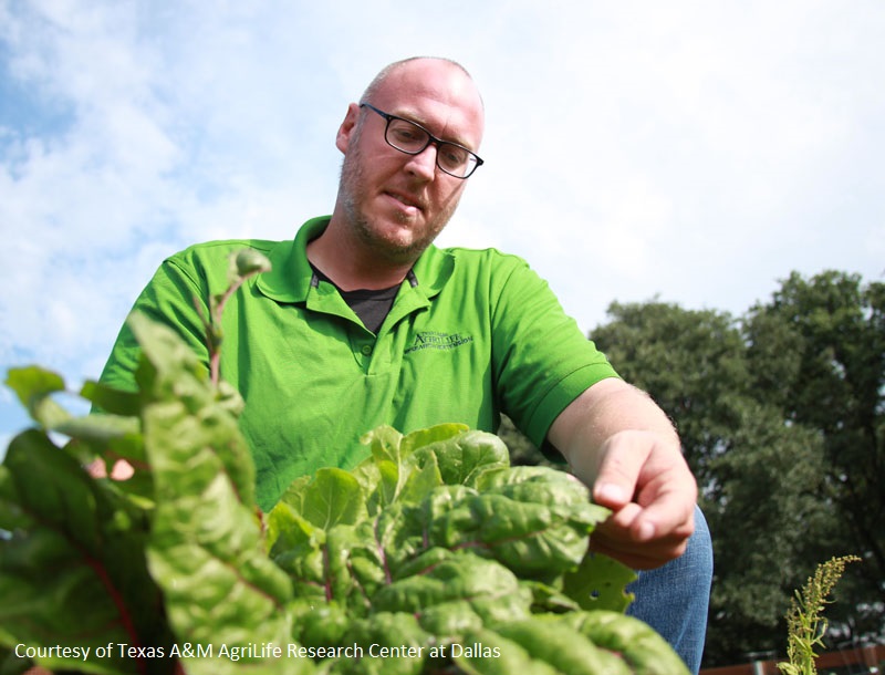 Daniel Cunningham Texas A&M AgriLife Research Center at Dallas Central Texas Gardener