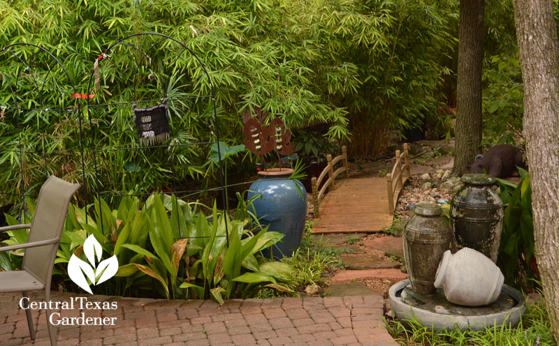 backyard bridge, clumping bamboo, water fountains Central Texas Gardener