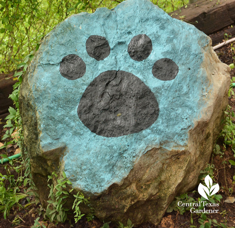 dog paw boulder memorial Central Texas Gardener