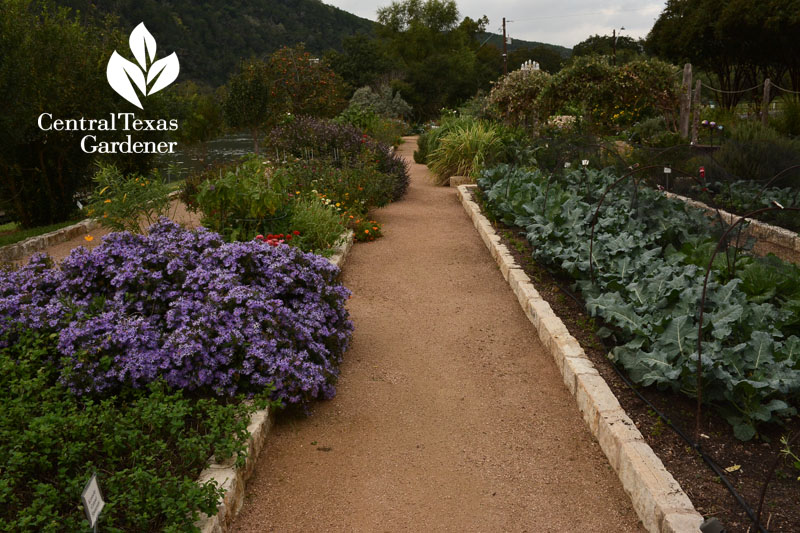 flowers and vegetable gardens Lake Austin Spa Resort Central Texas Gardener