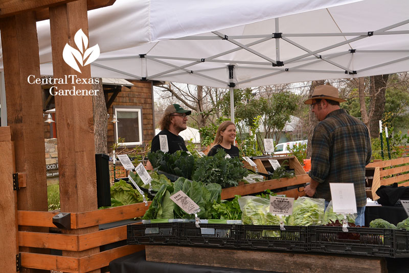 front yard food stand Central Texas Gardener